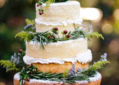 Naked cake nature