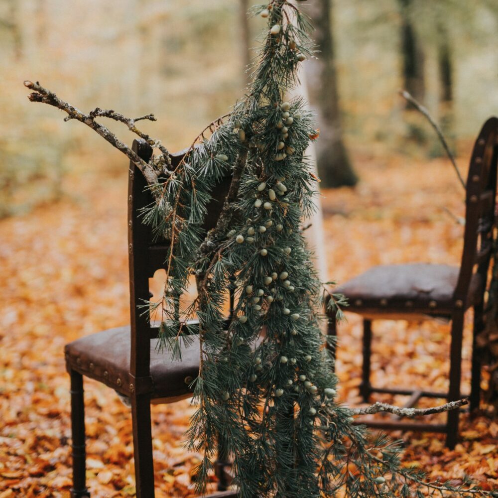 cérémonie-laïque-mariage-automne-forêt-la-soeur-de-la-mariee-blog-mariage