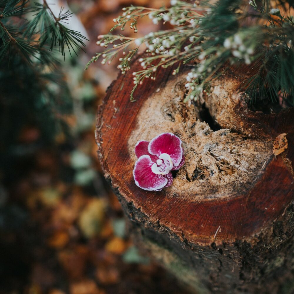 cérémonie-laïque-mariage-automne-forêt-la-soeur-de-la-mariee-blog-mariage