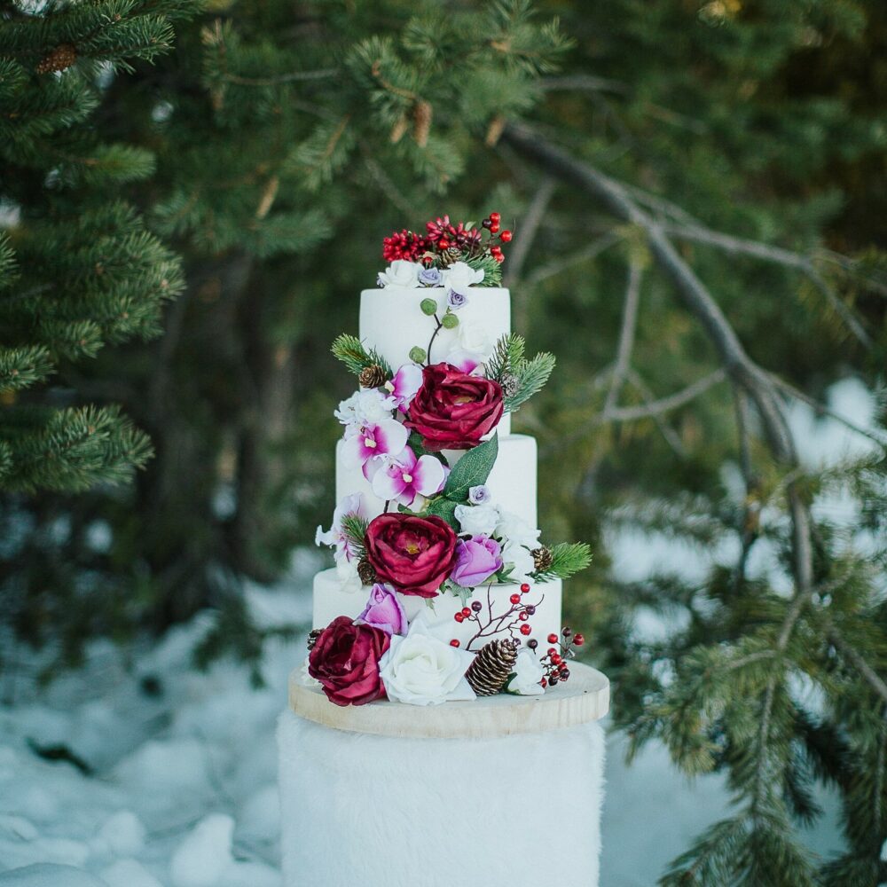 shooting-inspiration-dark-romance-mariage-romantique-glamour-hiver-neige-lasoeurdelamariee-blog-mariage