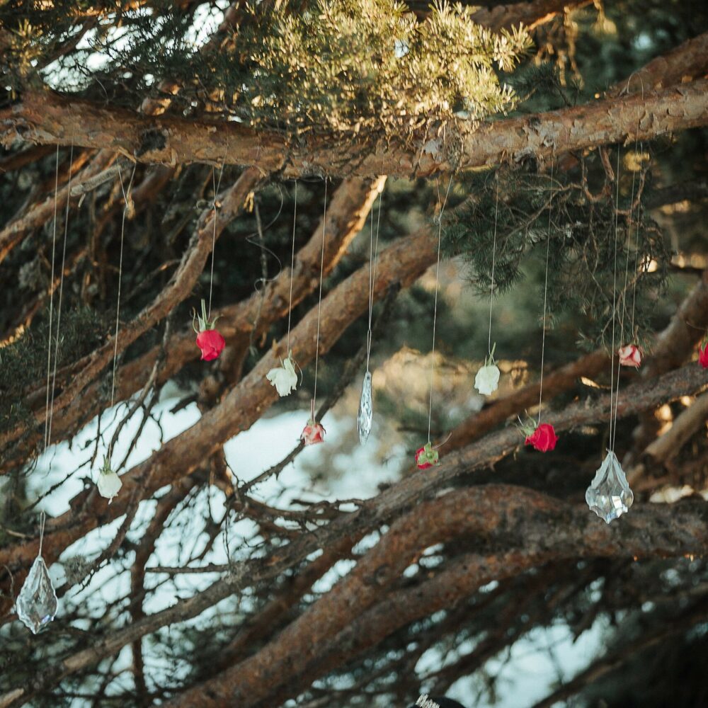 shooting-inspiration-dark-romance-mariage-romantique-glamour-hiver-neige-lasoeurdelamariee-blog-mariage