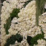 Les Coulisses du mariage - Mille et une listes - La Soeur de la Mariée - Mur végétal de Reflets Fleurs