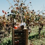 décoration de mariage dans les vignes