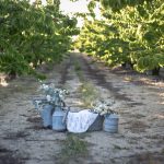 Décoration de mariage romantique et vintage-les arrosoirs en zinc