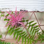 mariage-jungle-tropical-lasoeurdelamariee-blog-mariage