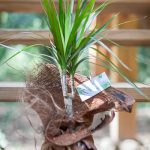 mariage-jungle-tropical-lasoeurdelamariee-blog-mariage