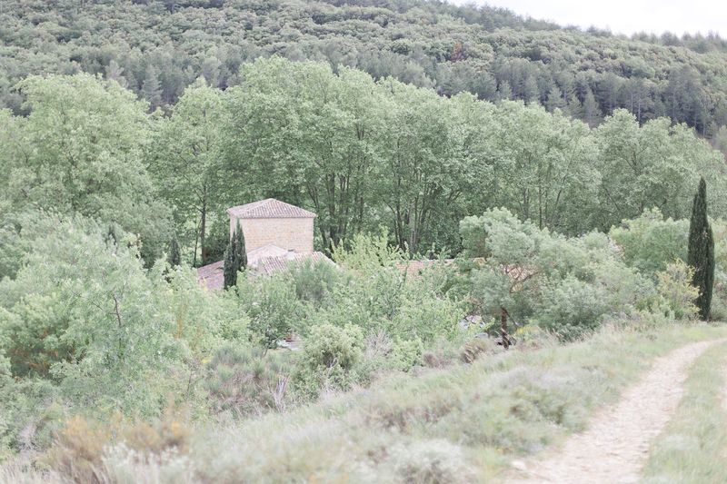 shooting-inspiration-mariage-provence-beaute-occitane-lasoeurdelamariee-blog-mariage