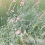 shooting-inspiration-mariage-provence-beaute-occitane-lasoeurdelamariee-blog-mariage