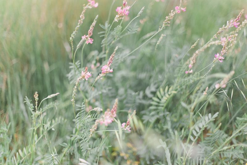 shooting-inspiration-mariage-provence-beaute-occitane-lasoeurdelamariee-blog-mariage