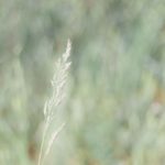 shooting-inspiration-mariage-provence-beaute-occitane-lasoeurdelamariee-blog-mariage