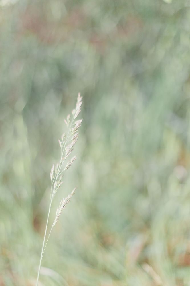 shooting-inspiration-mariage-provence-beaute-occitane-lasoeurdelamariee-blog-mariage