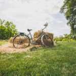 Vélo vintage pour décoration d'un mariage