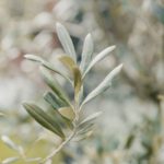 les-preparatifs-de-la-mariee-et-demoiselles-dhonneur-la-soeur-de-la-mariee-blog-mariage