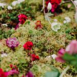 nature-fleurs-pays-basque