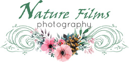 nature-films-photography-logo