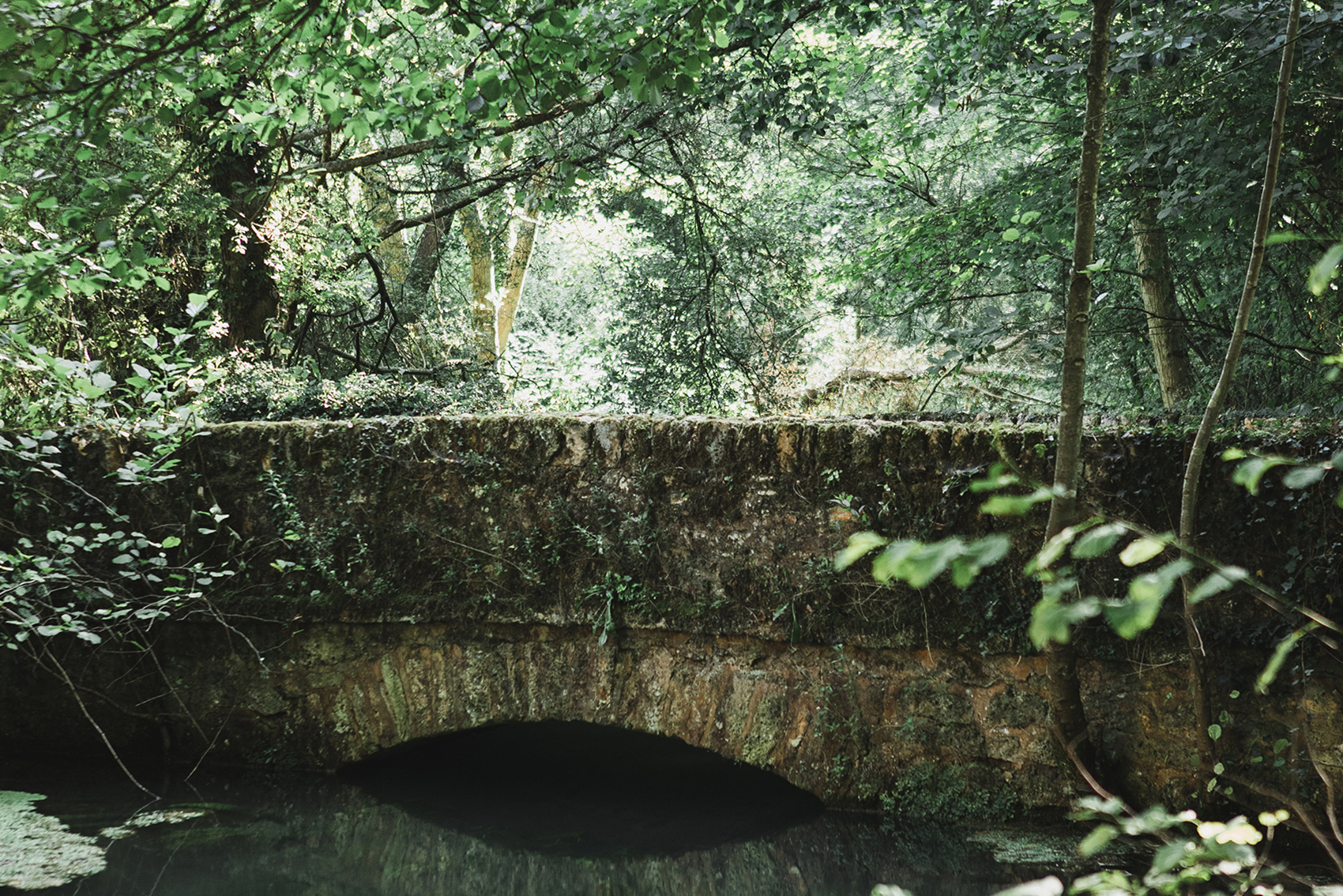 les-sources-lieu-reception-mariage-idf-nature