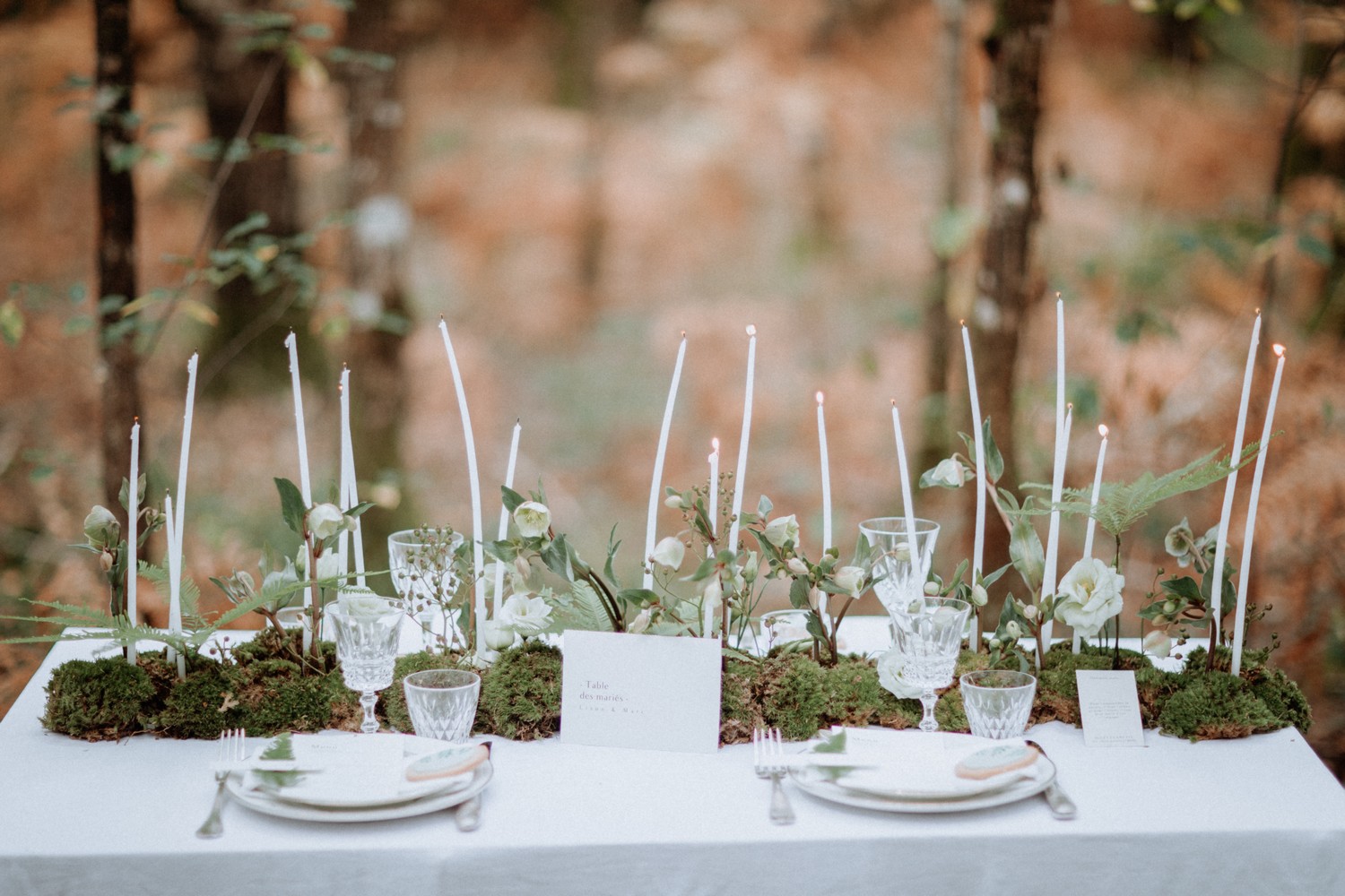 inspirations-mariage-vegetal-foret-nature