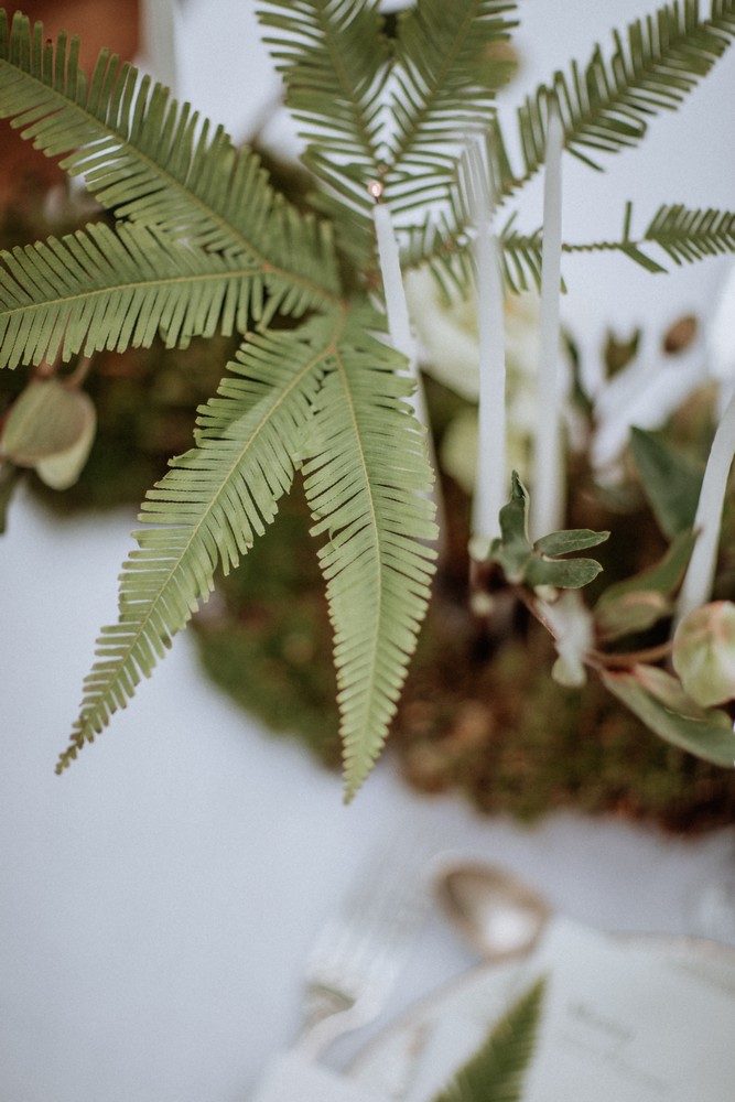 inspirations-mariage-vegetal-foret-nature