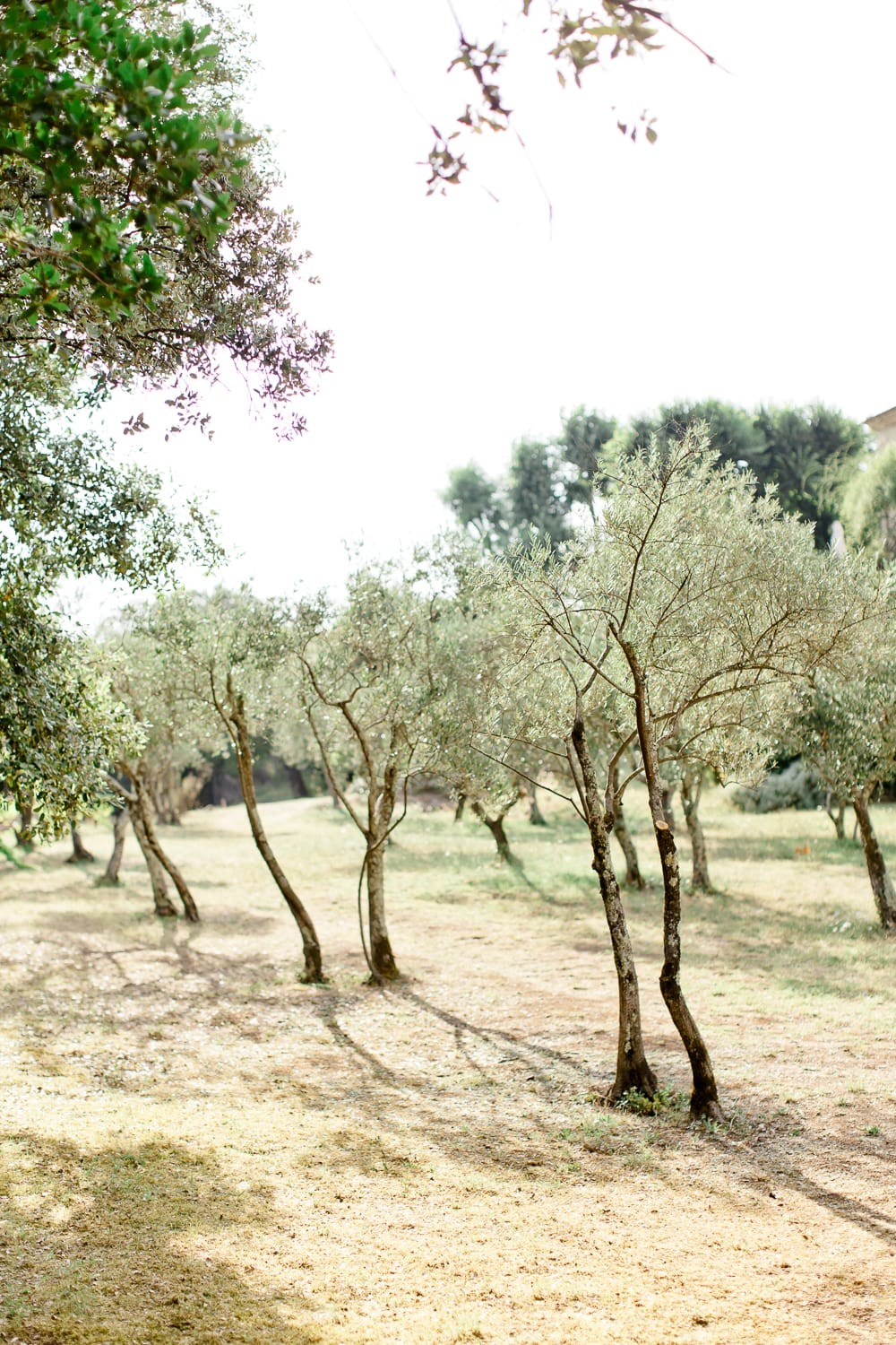 mariage-provence