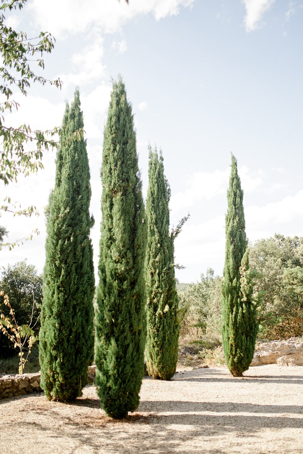 mariage-provence