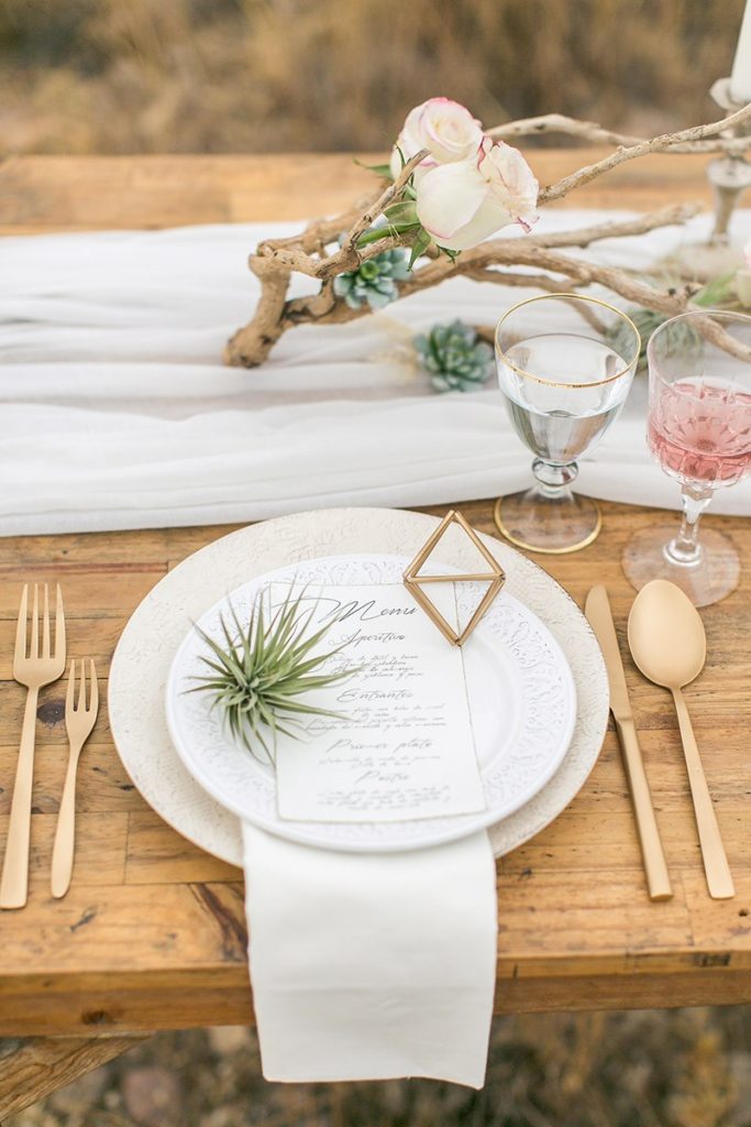 cadeaux-invites-mariage-airplant-tillandsias-Violeta-pelivan-ambrosia-wedding