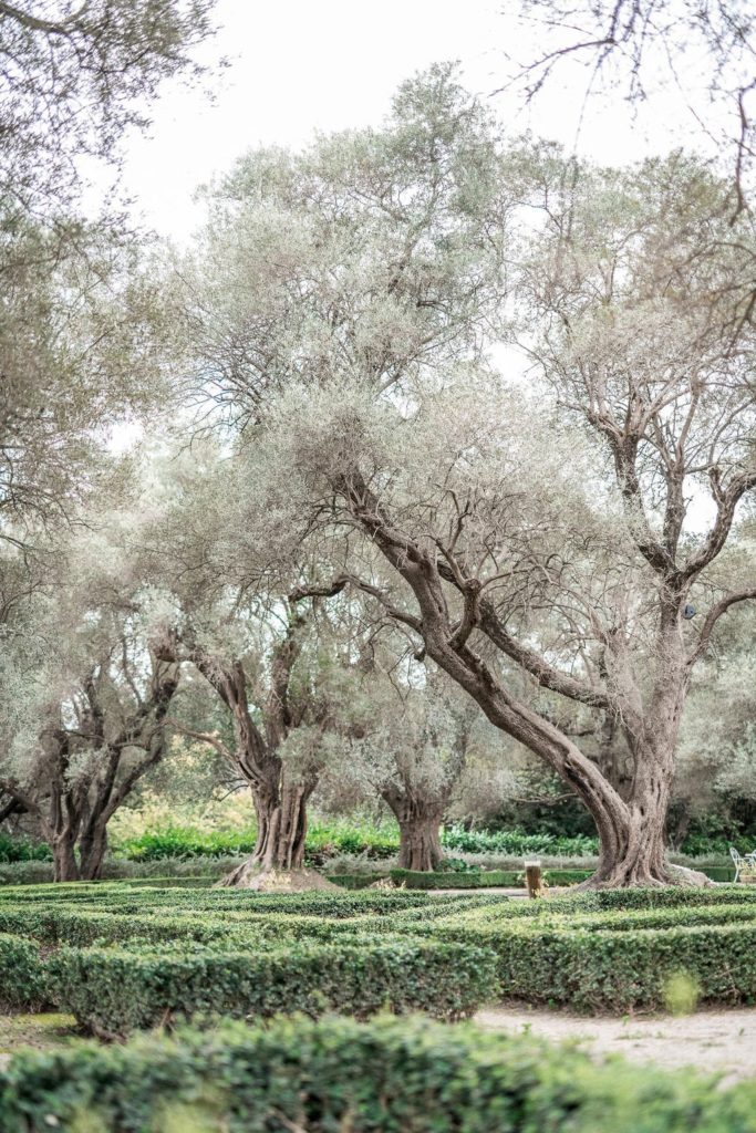 french-elegance-wedding-french-riviera-bastide-du-roy