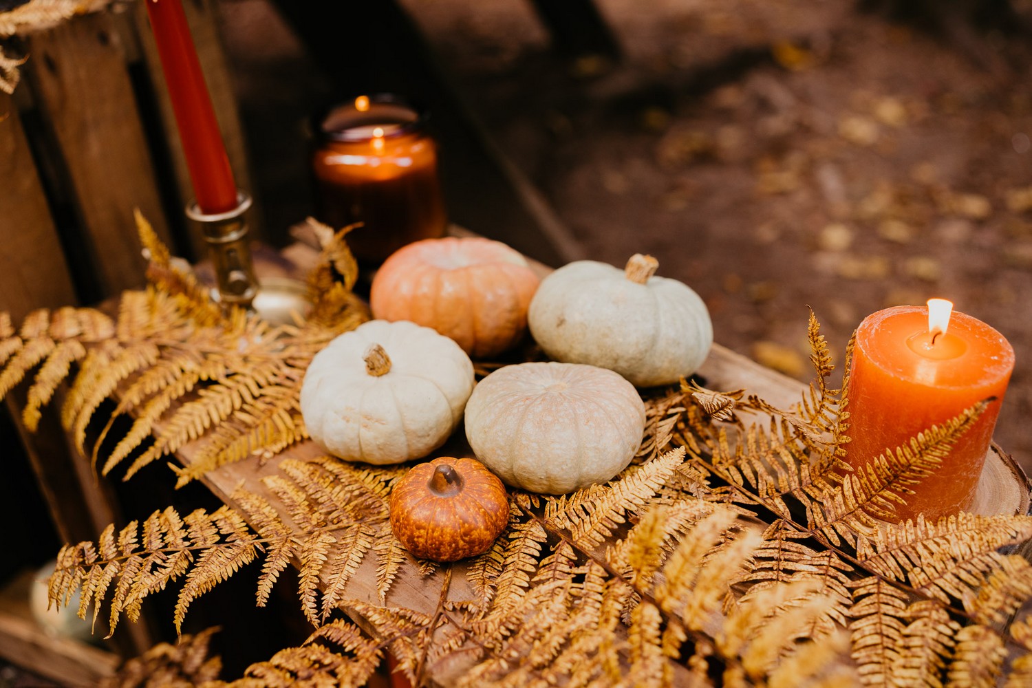 mariage-automne-sauvage-julie-costet-photographe-vosges