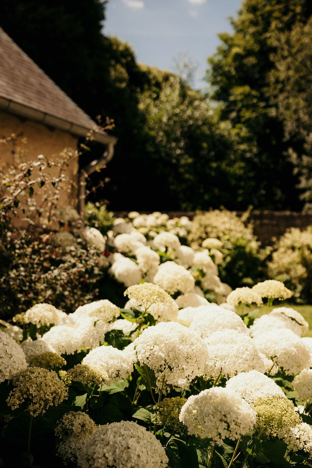 mariage-normandie-manoir-de-chivré-frank-ryckewaert-photographe