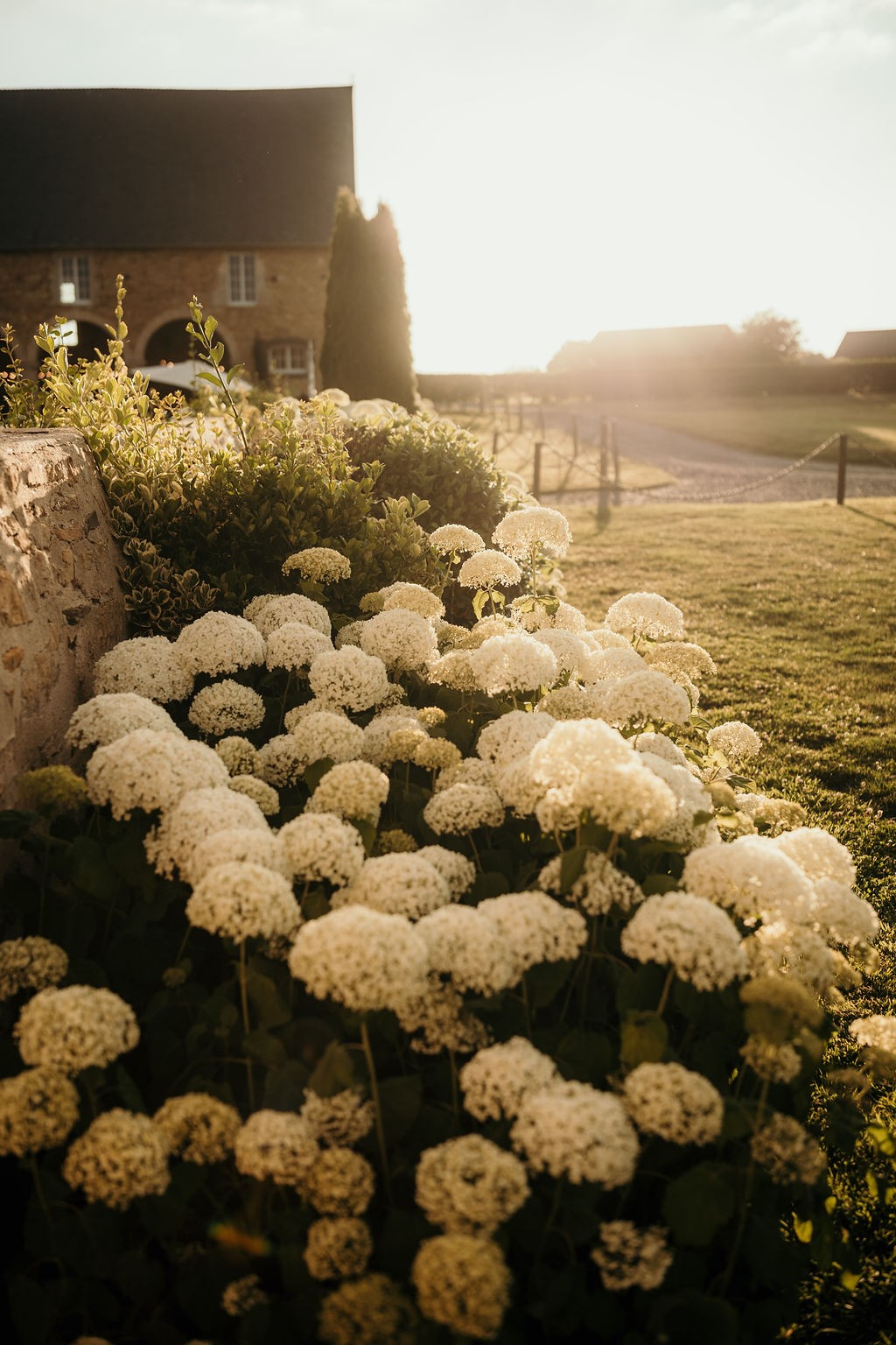 mariage-normandie-manoir-de-chivré-frank-ryckewaert-photographe