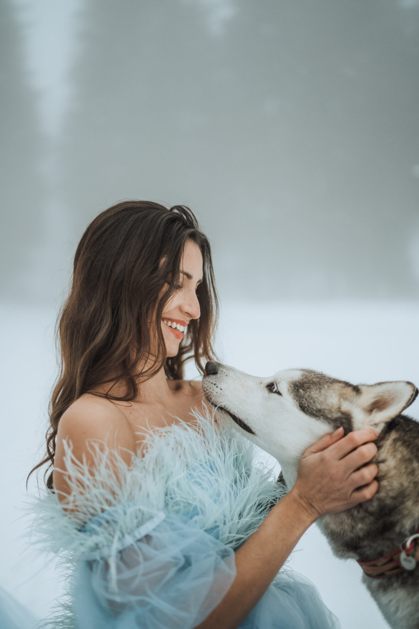 mariage en chiens de traineaux