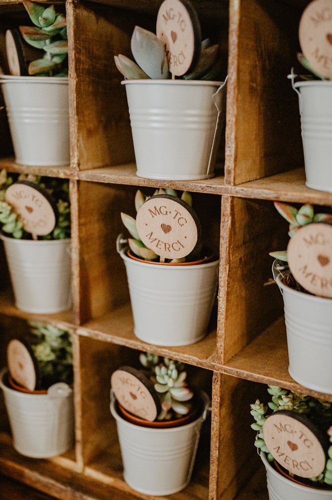 petits plantes en cadeaux d'invités de mariage