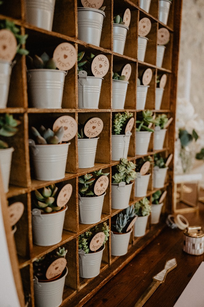 des succulentes pour cadeaux d'invités de mariage