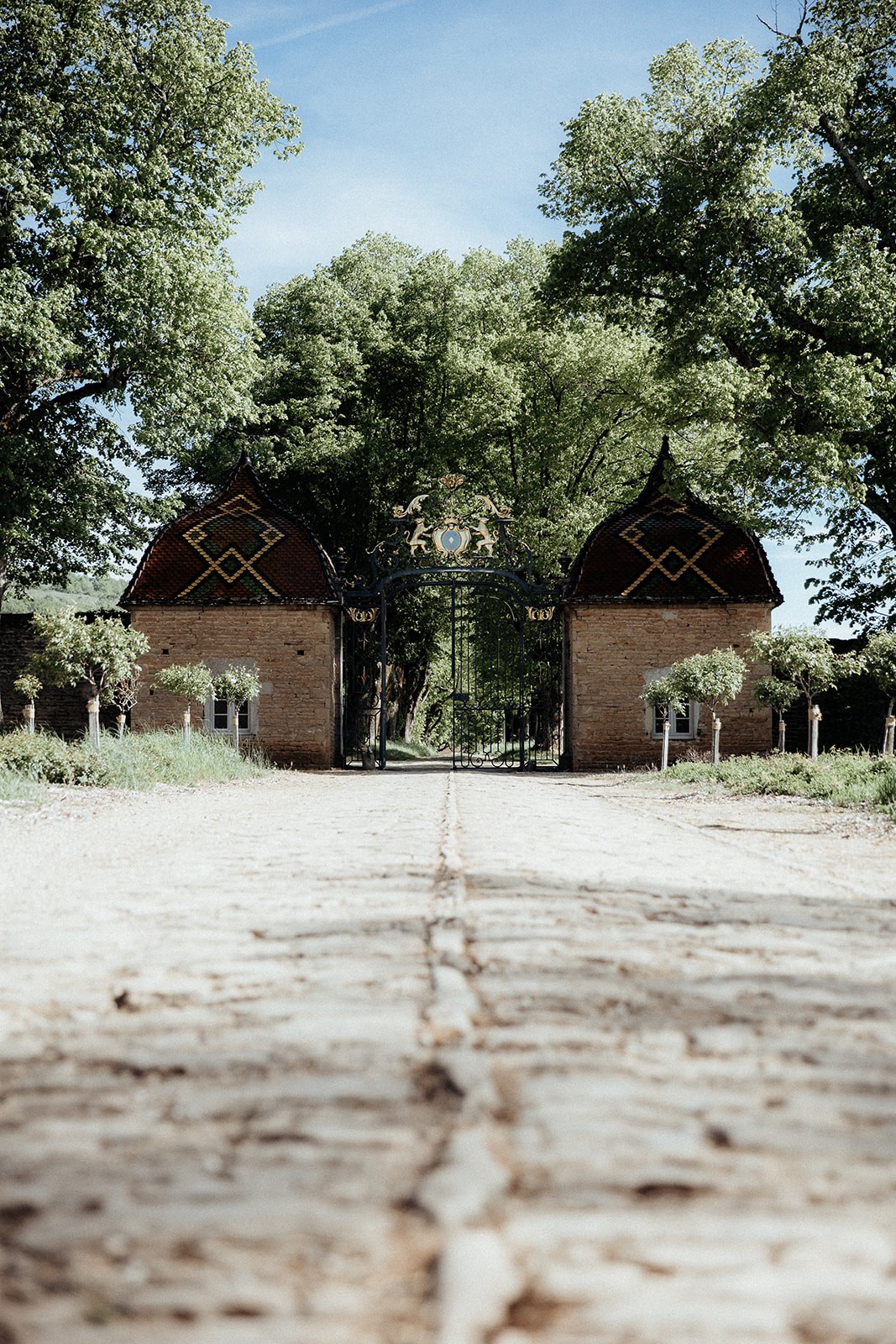 Mariage moderne au château de Pierreclos en Bourgogne