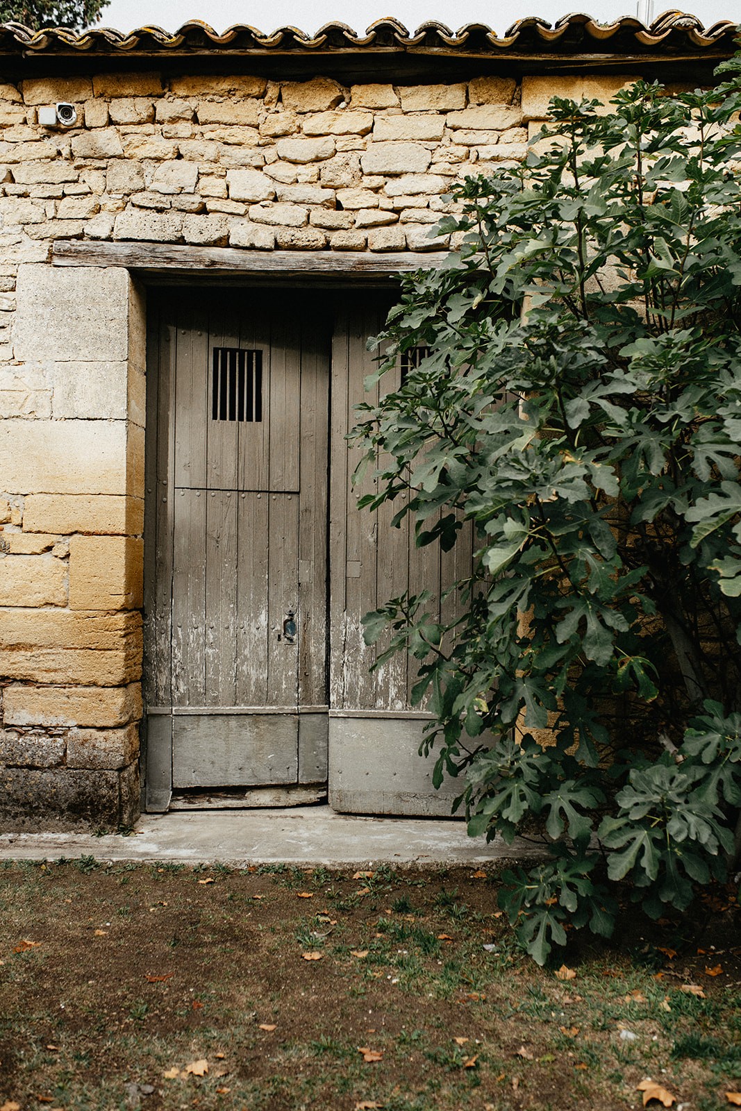 mariage-violet-romantique-dans-le-gard-lolalouise-photographe