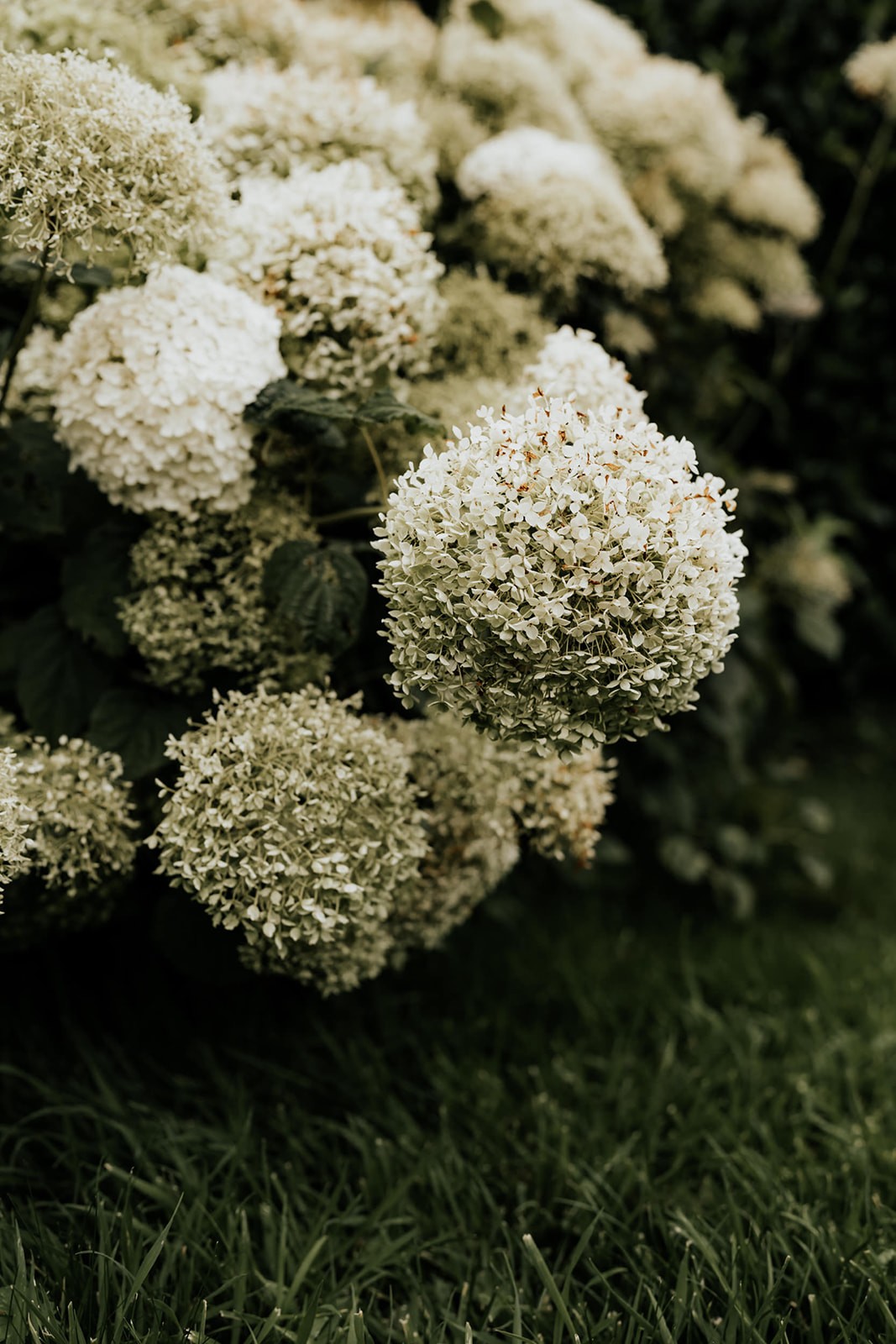 mariage chic et moderne au Manoir de Chivré en Normandie