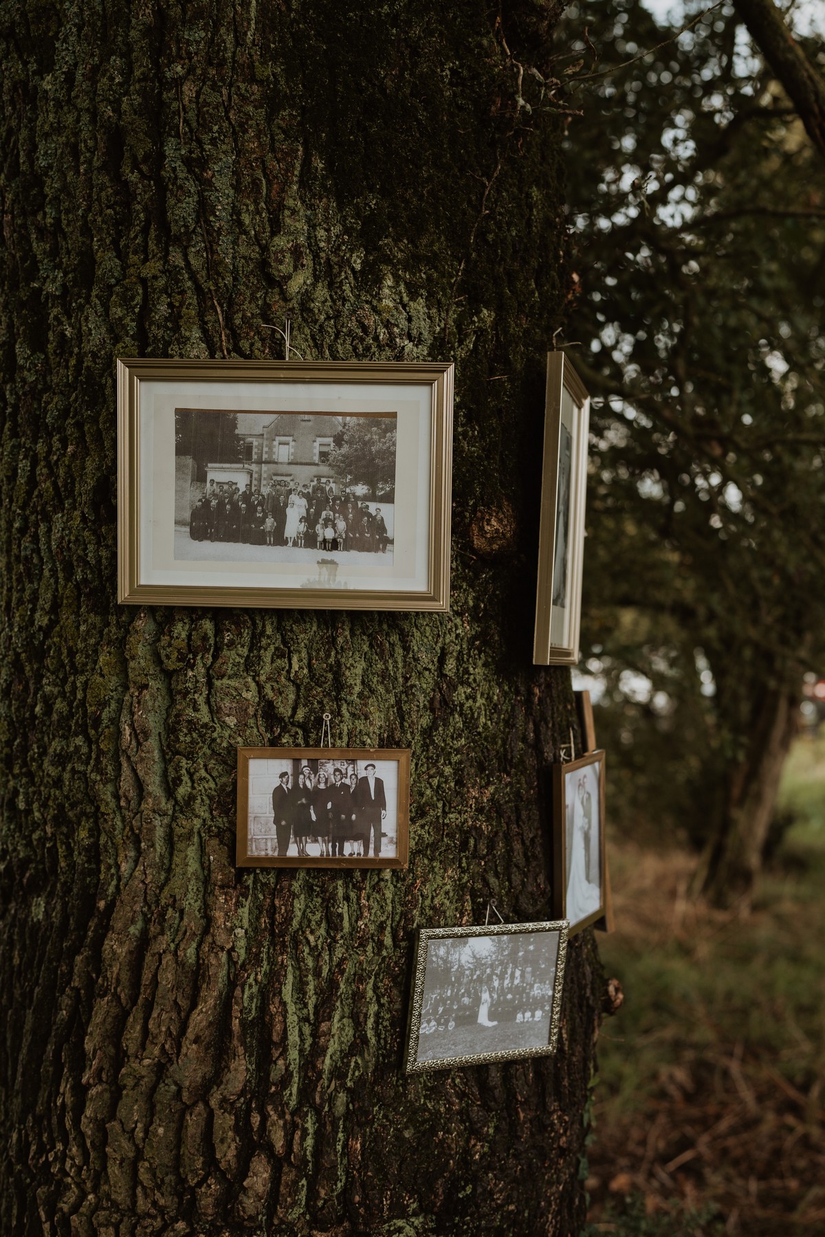 mariage-hispano-corse-cholet-delphine-juan-luis-jjgraphie