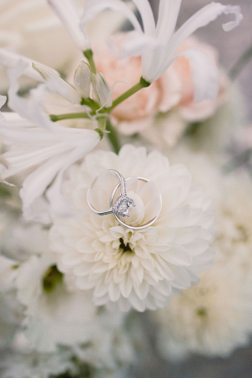 mariage-tout-en-blanc-lac-leman-luciebradbury-photographie