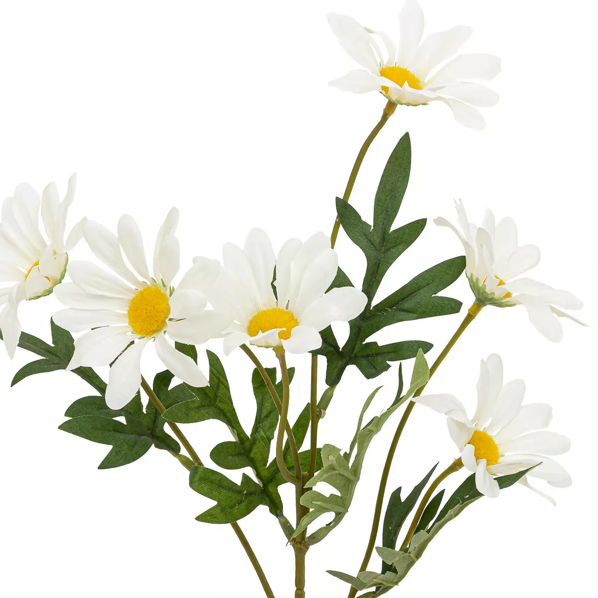 tige-marguerite-artificielle-atmosphera