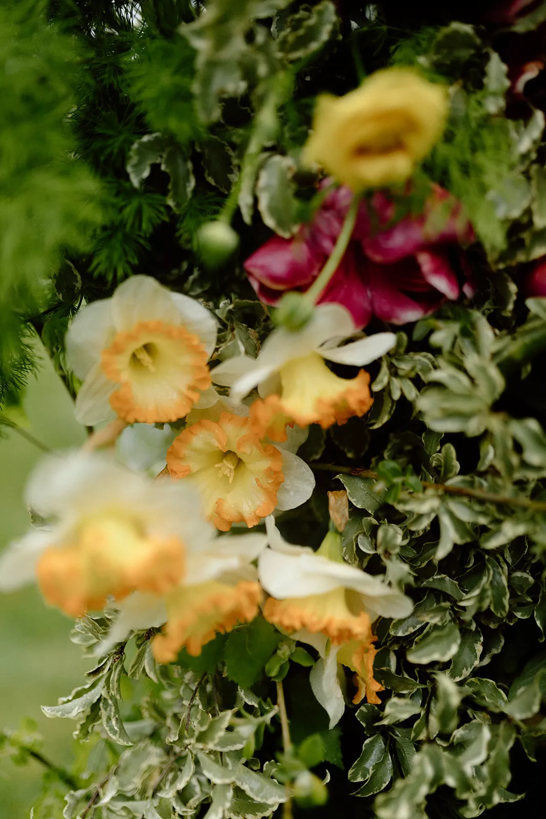 mariage-bucolique-morbihan-manoir-de-gouezac-ingridthierryphotographie (16)