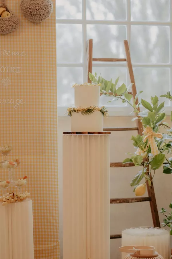 mariage-jaune-mimosa-champetre-bourgogne-seymadphotographie (13)