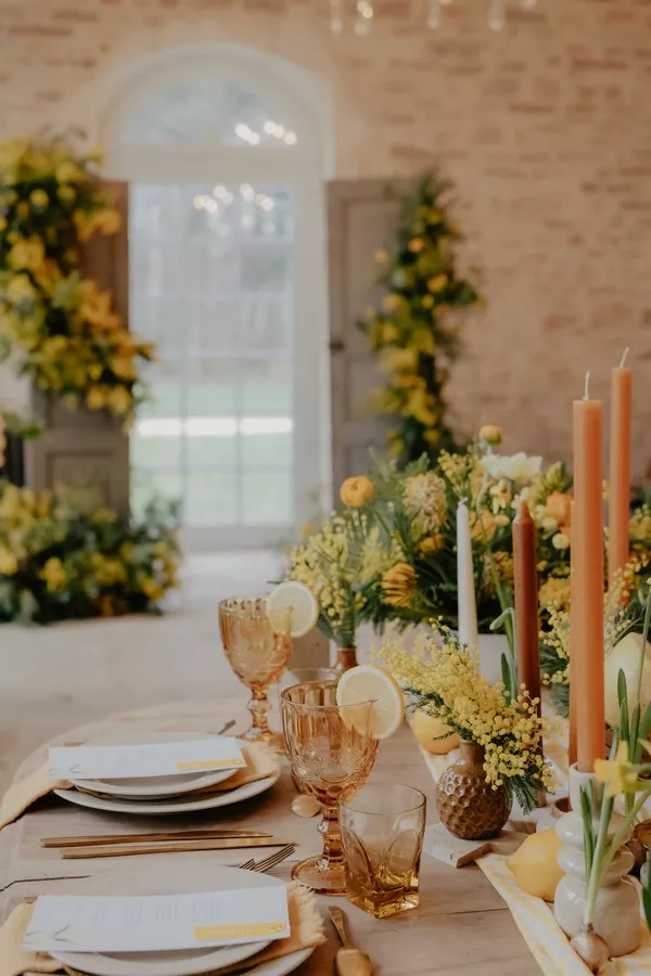 mariage-jaune-mimosa-champetre-bourgogne-seymadphotographie (18)