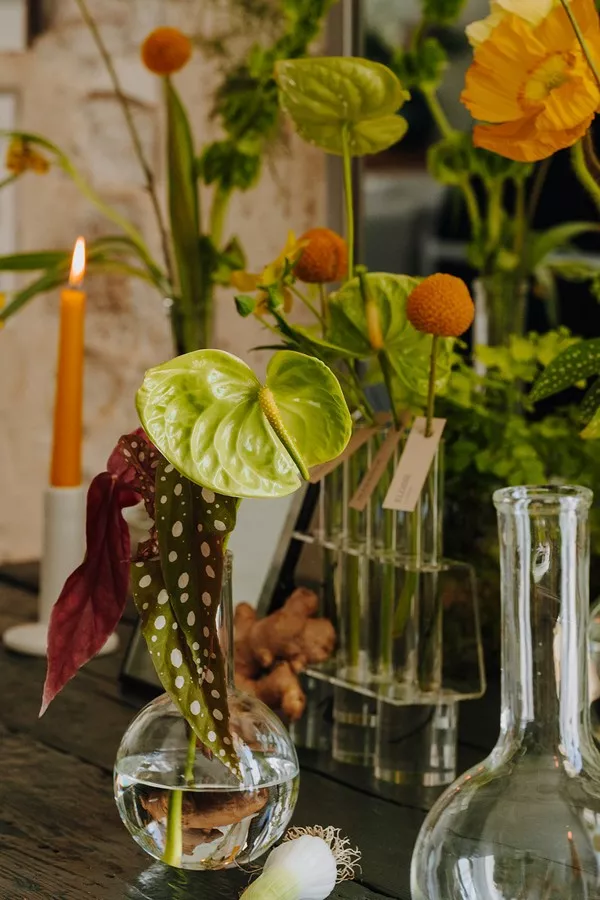 mariage-vegetal-alchimie-domaine-fresnoy-la-riviere-justinehphotography (18)