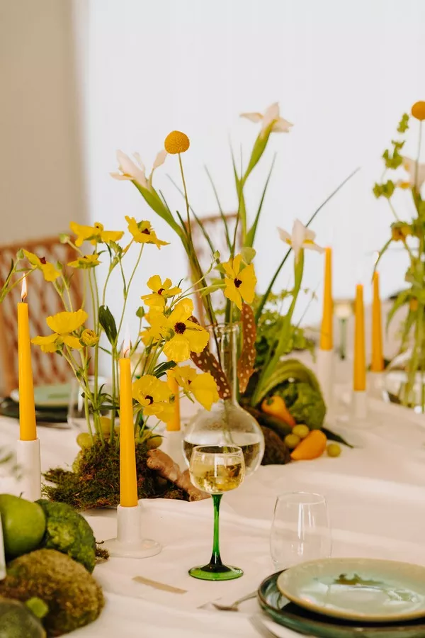 mariage-vegetal-alchimie-domaine-fresnoy-la-riviere-justinehphotography (23)