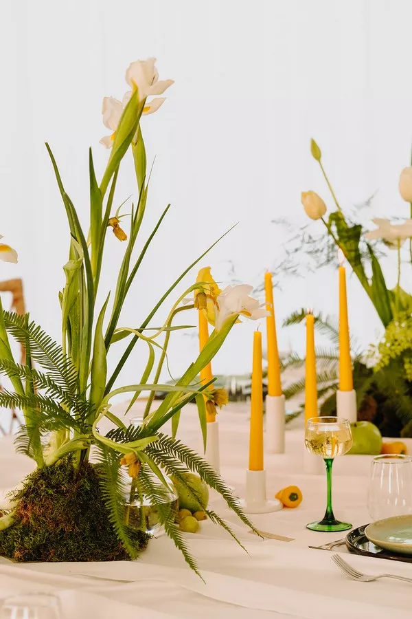 mariage-vegetal-alchimie-domaine-fresnoy-la-riviere-justinehphotography (25)