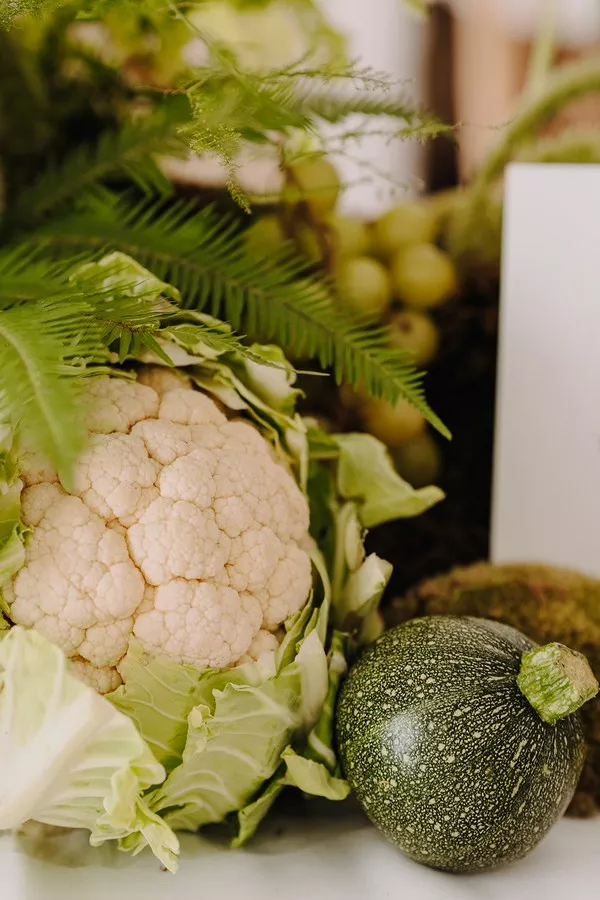 mariage-vegetal-alchimie-domaine-fresnoy-la-riviere-justinehphotography (27)