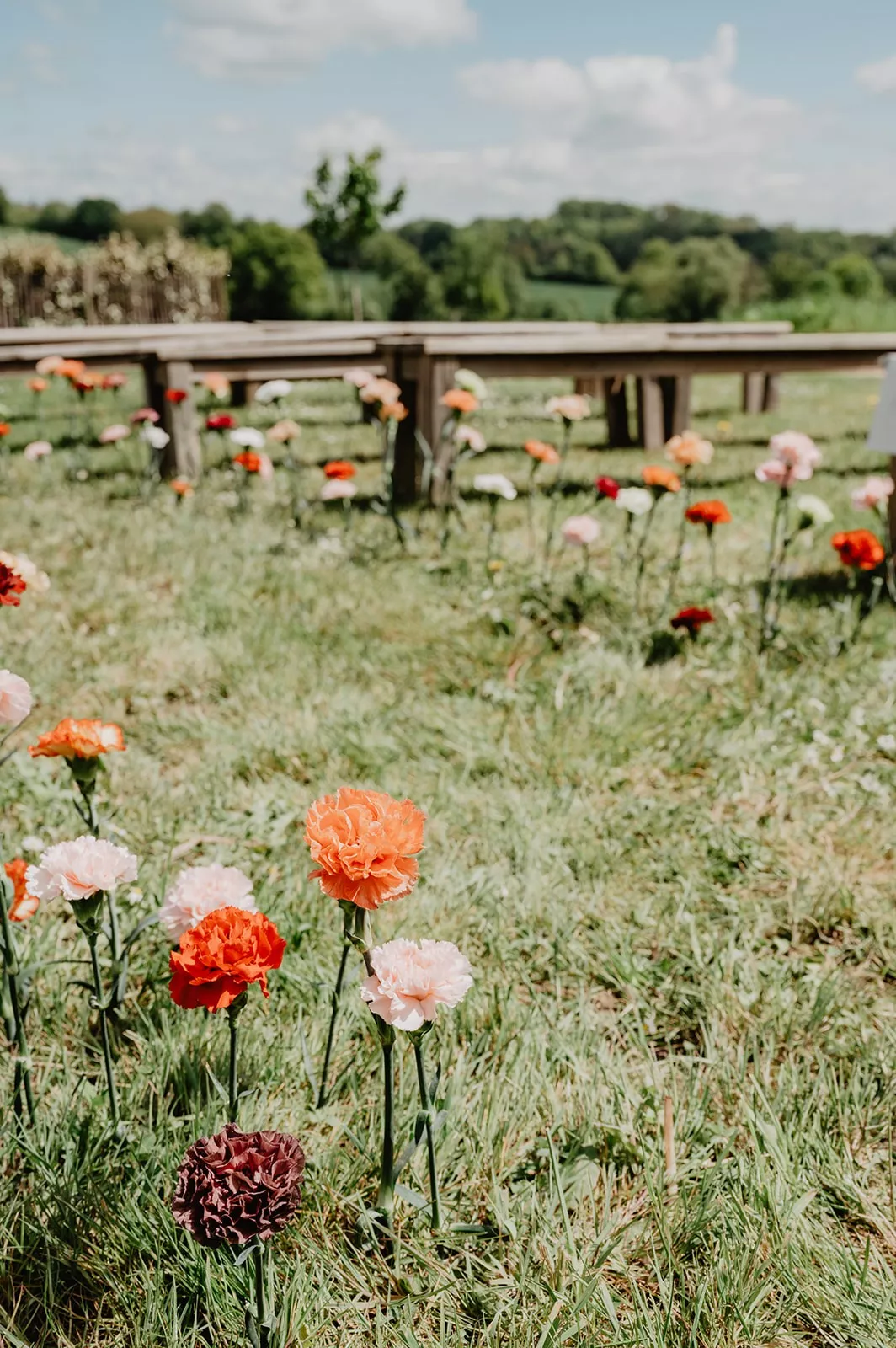 mariage-domaine-de-ronsard-orne-perche-lesliecure (13)