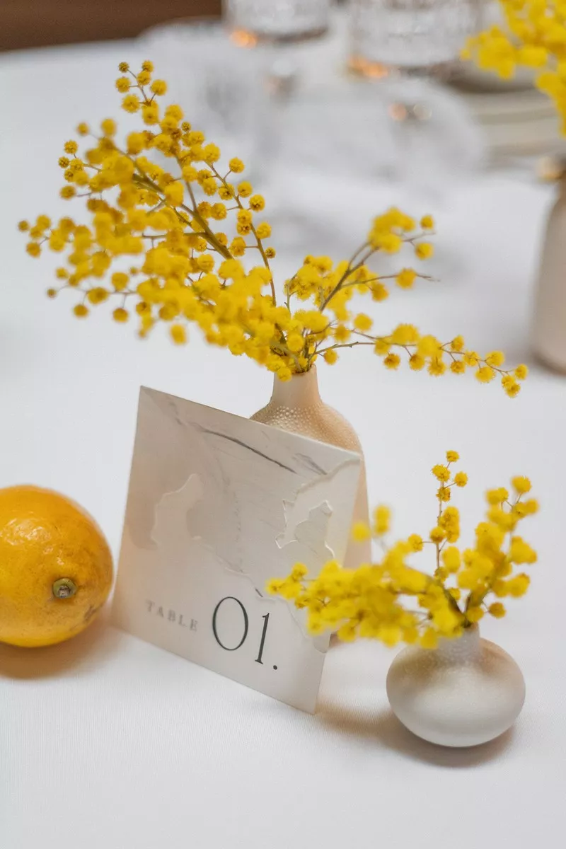 mariage-inspiration-mimosa-chateau-burrus-haut-rhin-lucilekphotography (11)