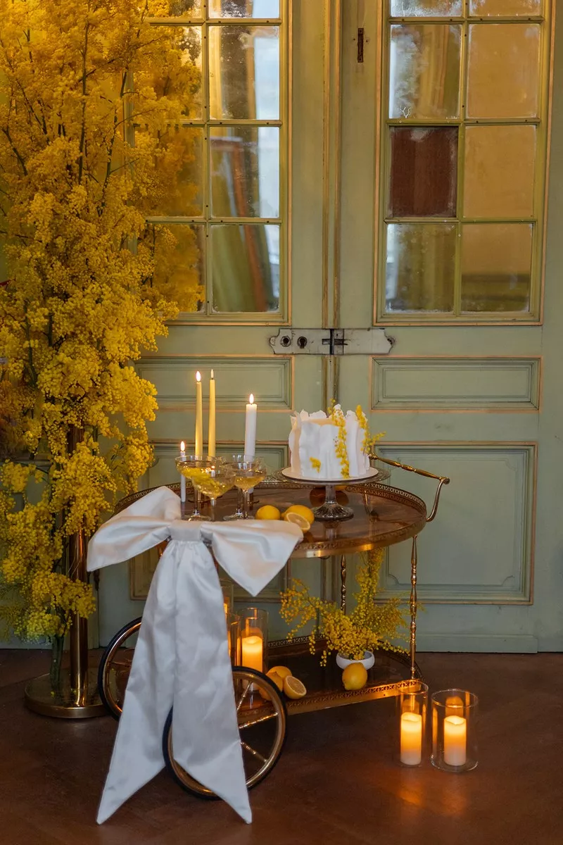 mariage-inspiration-mimosa-chateau-burrus-haut-rhin-lucilekphotography (30)