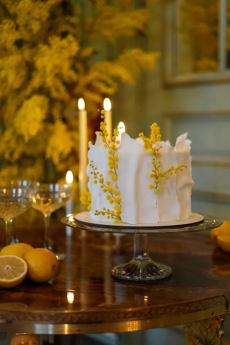 mariage-inspiration-mimosa-chateau-burrus-haut-rhin-lucilekphotography (31)