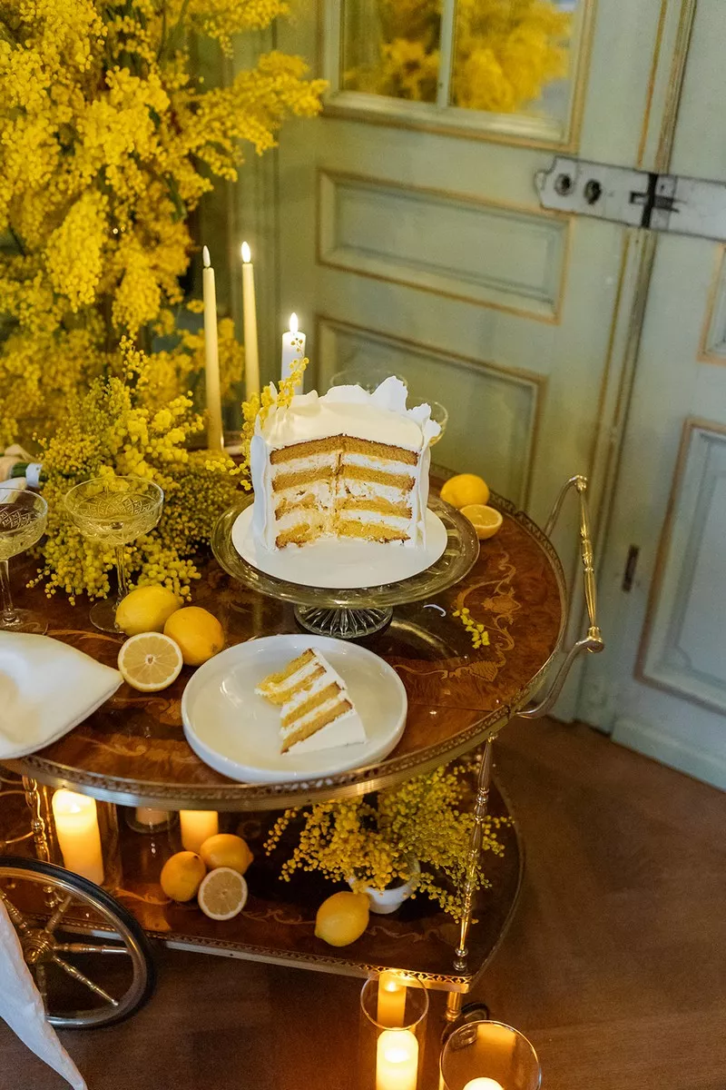 mariage-inspiration-mimosa-chateau-burrus-haut-rhin-lucilekphotography (34)